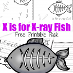 X ray fish