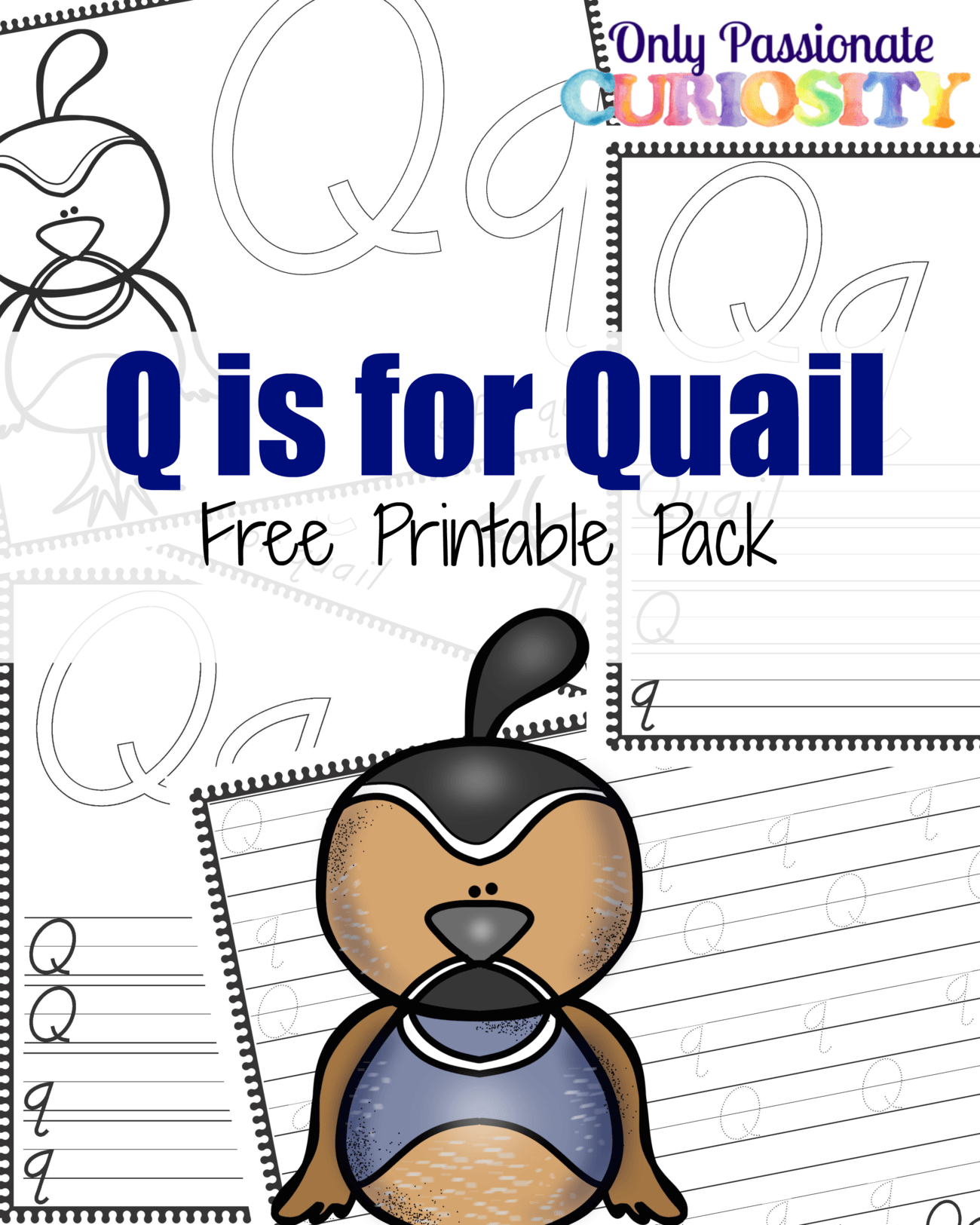 Q is for Quail Handwriting Activity Pack