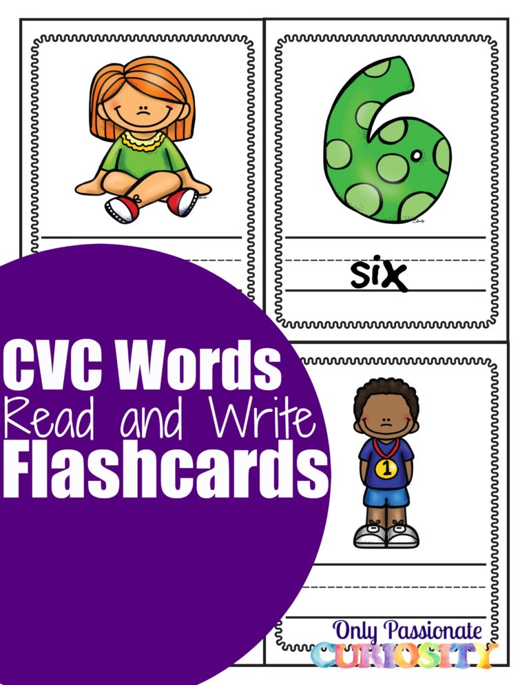 See and Write Flashcards: CVC I Words