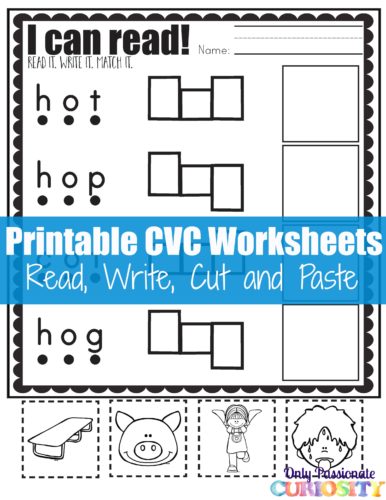 CVC O Read and Write Cut and Paste