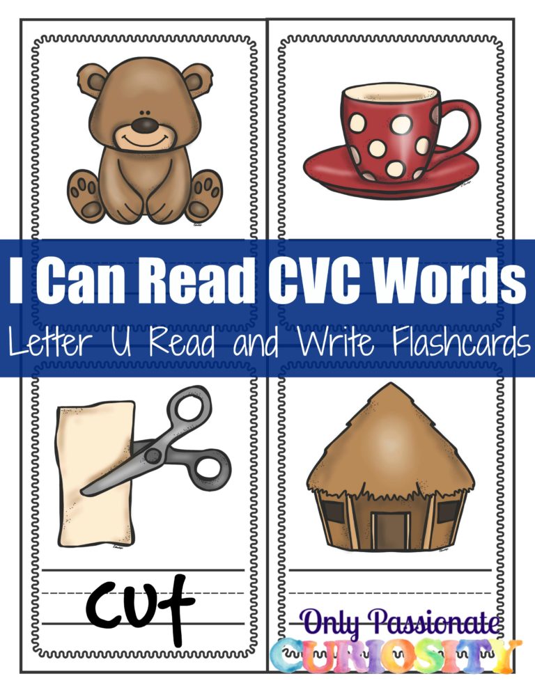 Read and Write Flashcards: CVC U Words