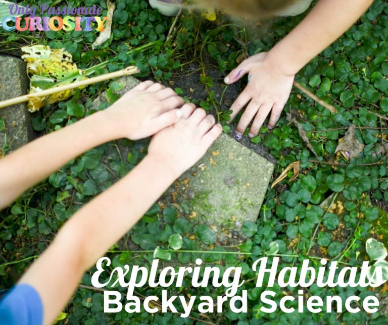 Exploring Habitats in Your Backyard