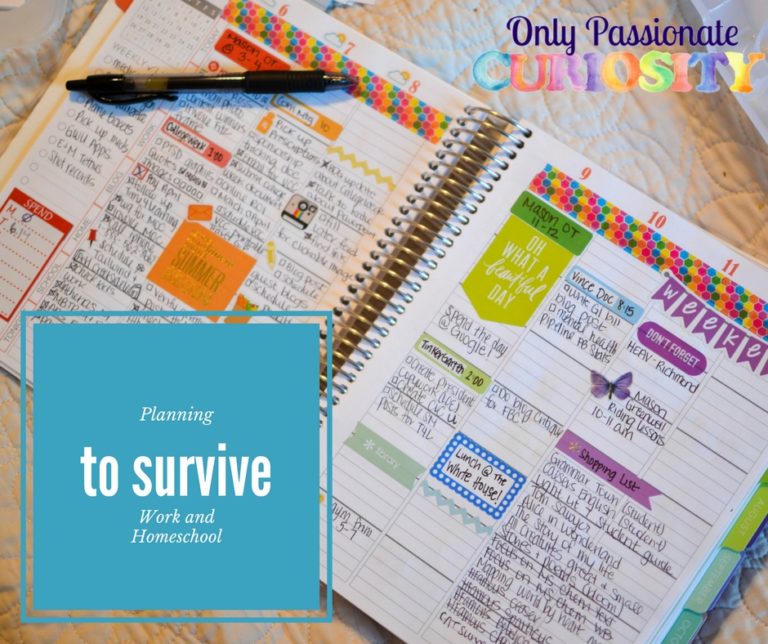 Plan to Survive: Working and Homeschool