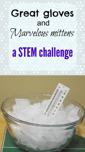 winter STEM challenge