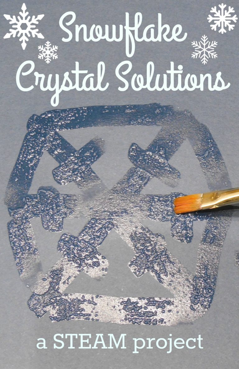 Snowflake Crystal Solutions: A STEAM Project
