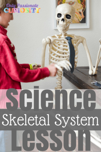 Skeletal System (1)