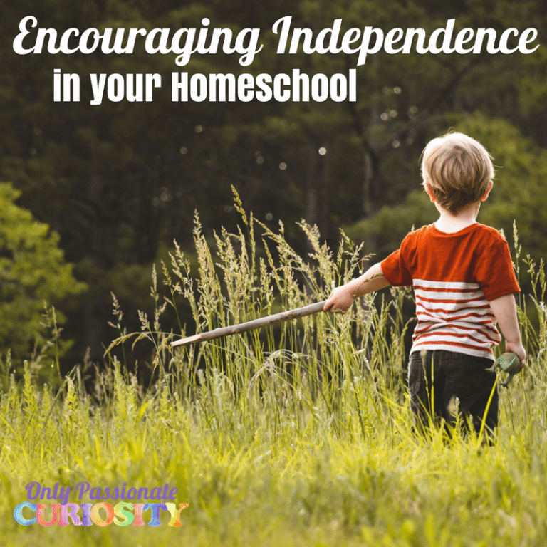 12 Ways to Support Independence in your Homeschool