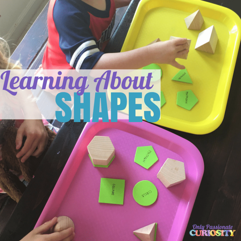 Learning About 3D Shapes