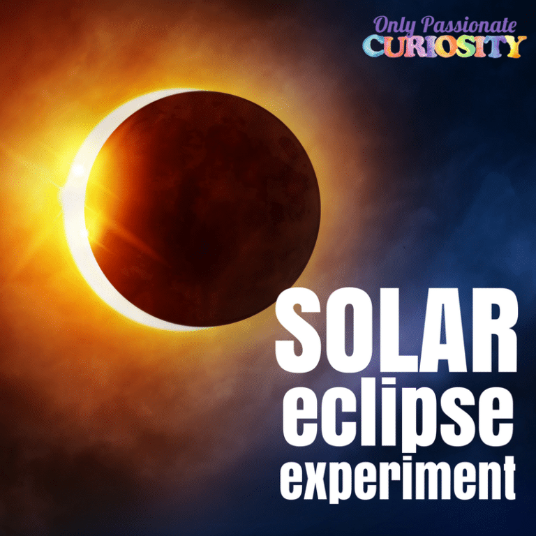 Exploring Lunar and Solar Eclipses