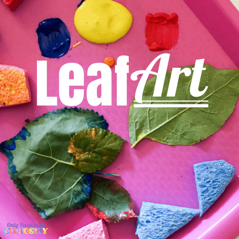 Outdoor Classroom – Leaf Art