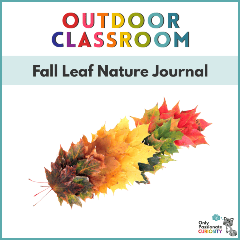 Fall Leaf Nature Journal