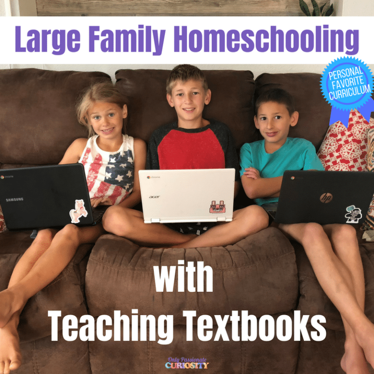Large Family Homeschooling with Teaching Textbooks