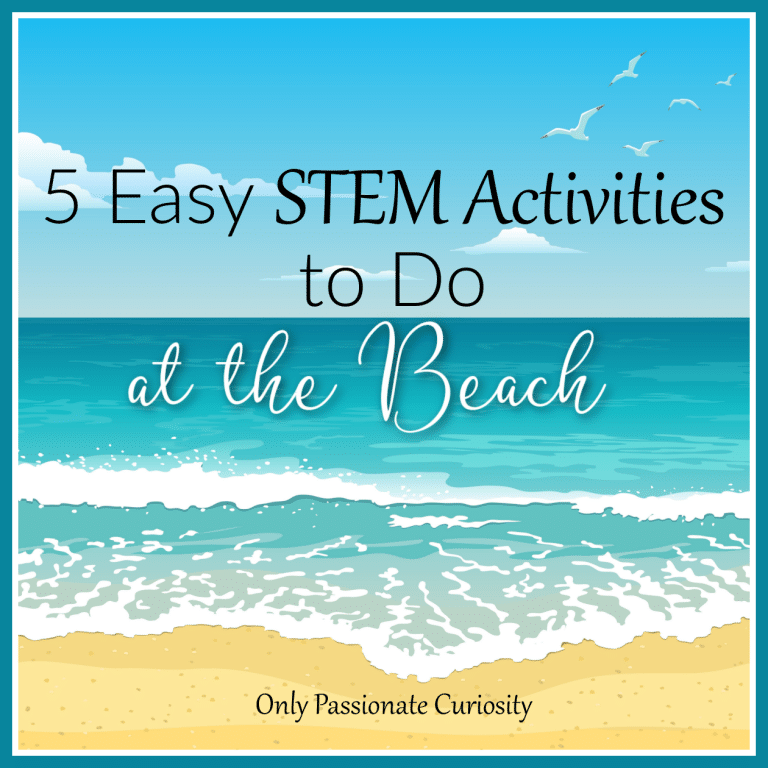 5 Easy STEM Activities to Do at the Beach