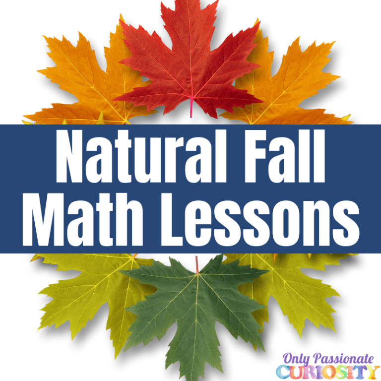 Autumn’s Natural Math Lessons