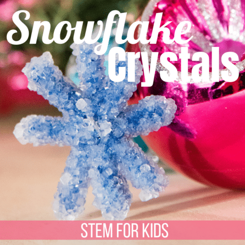 How to make the best Crystal Snowflakes – Go Science Kids