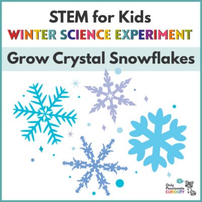 grow crystal snowflakes