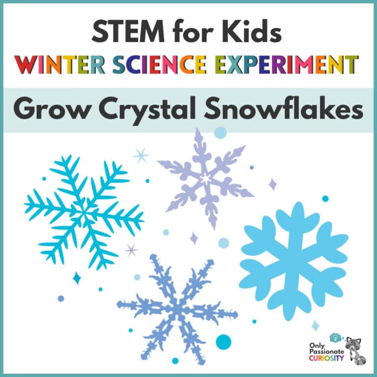 STEM for Kids: Grow Crystals!