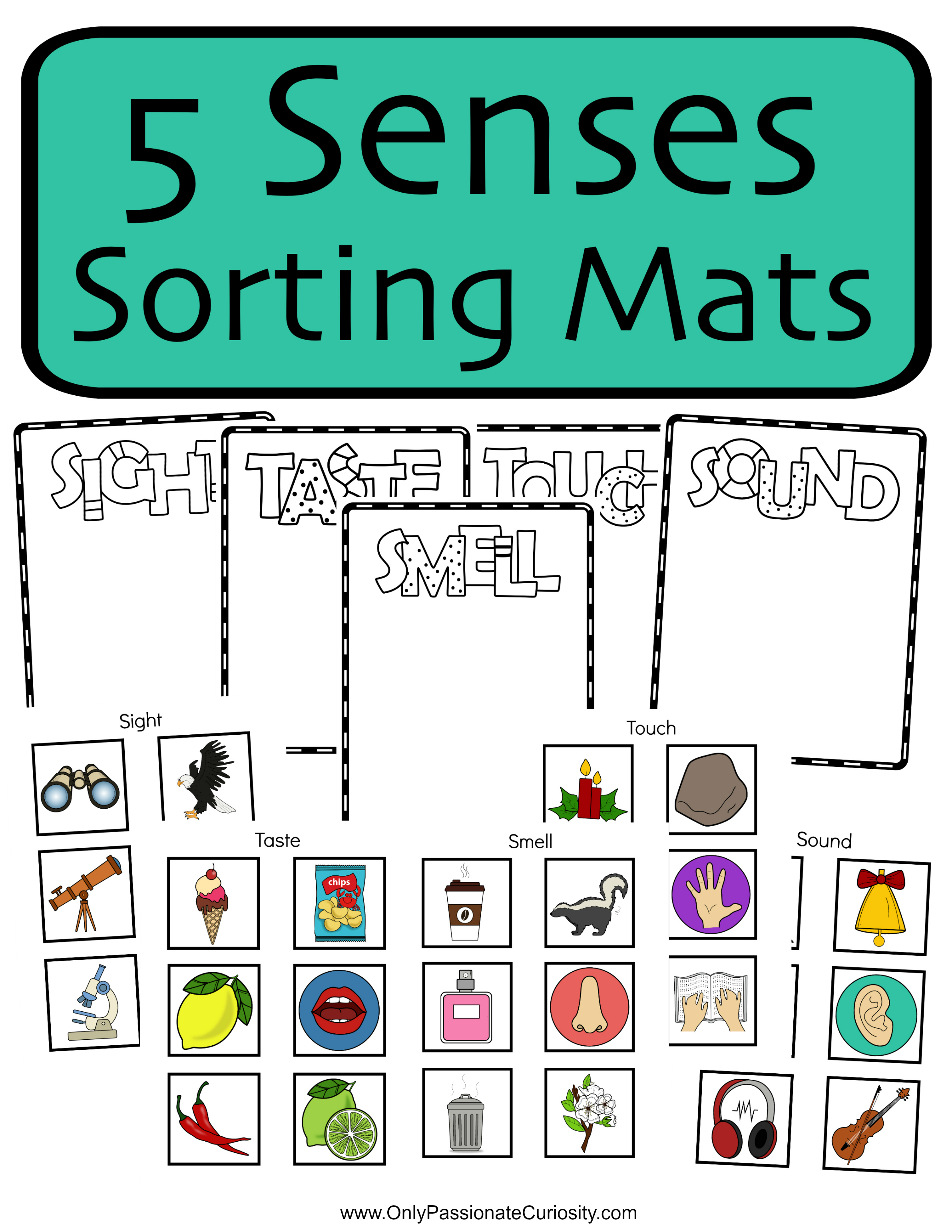 5 Senses Sorting Mats Only Passionate Curiosity