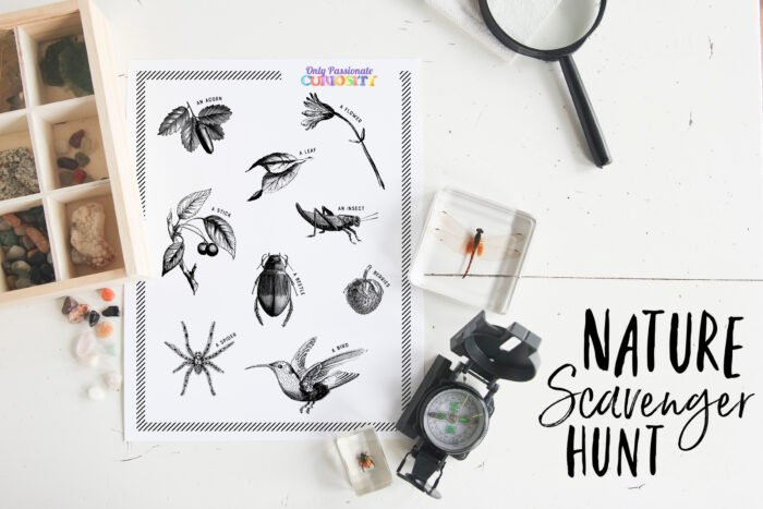 nature scavenger hunt printable