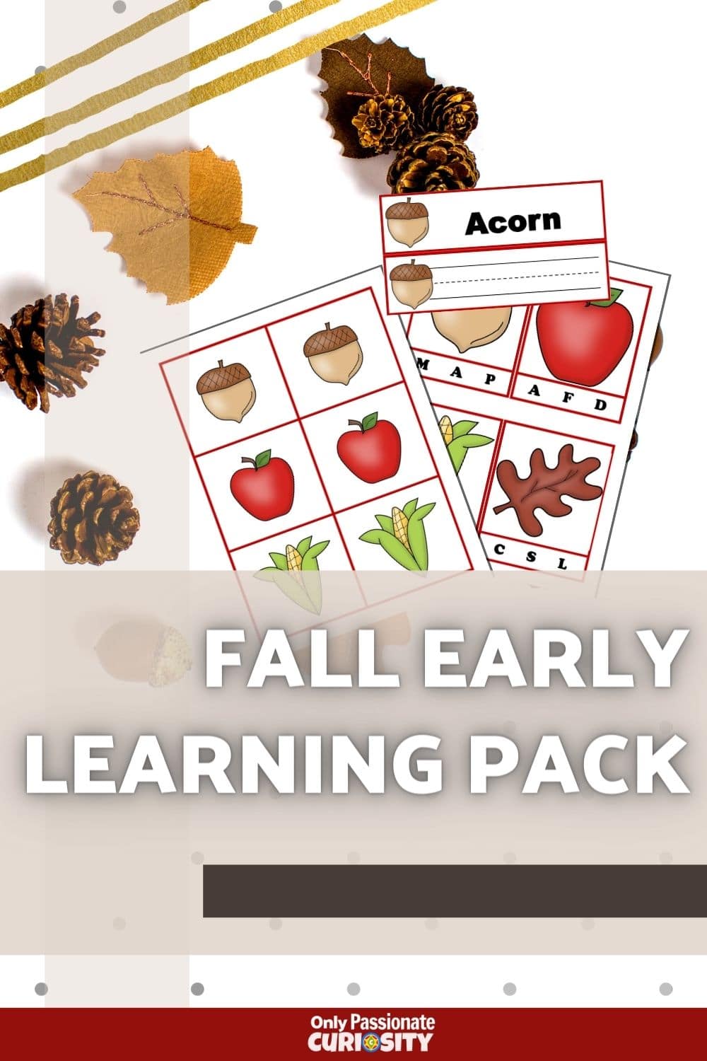If you're looking for a fun printable fall early learning pack for your kiddos, we think you'll love this one! It includes a fall words wall, some first sound cards, writing strips, and a matching game for fall too!