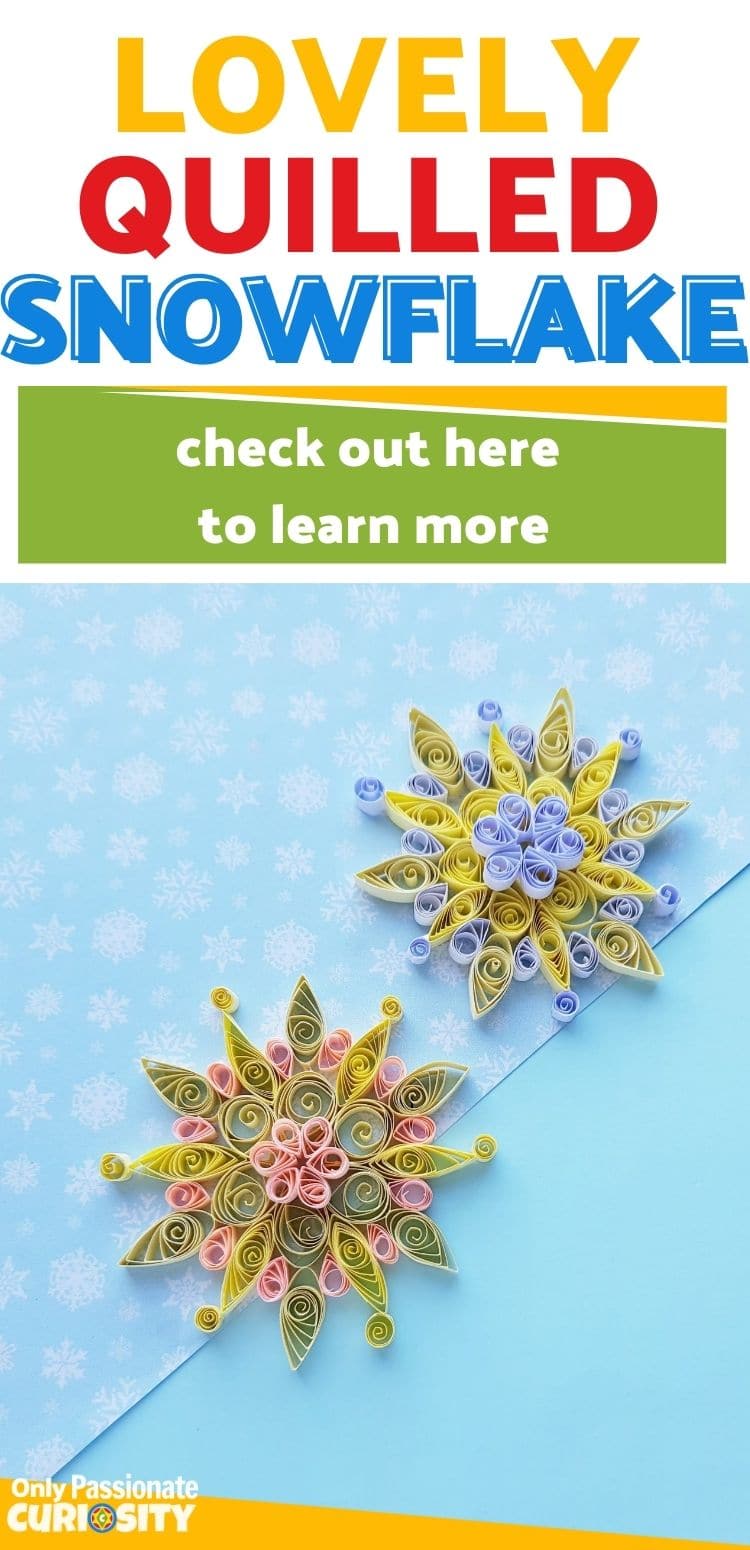 These lovely quilled snowflakes are as intricate as the real thing. However, they are made with paper instead of snow--so you can keep them as long as you like! This craft is fun and doable for all ages!
