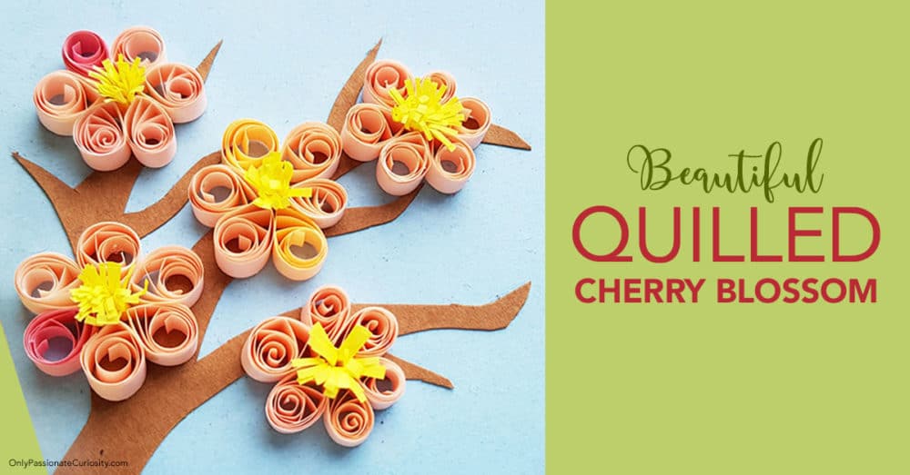 quilled cherry blossom craft