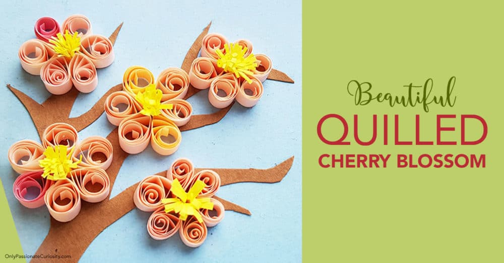 quilled cherry blossom craft 