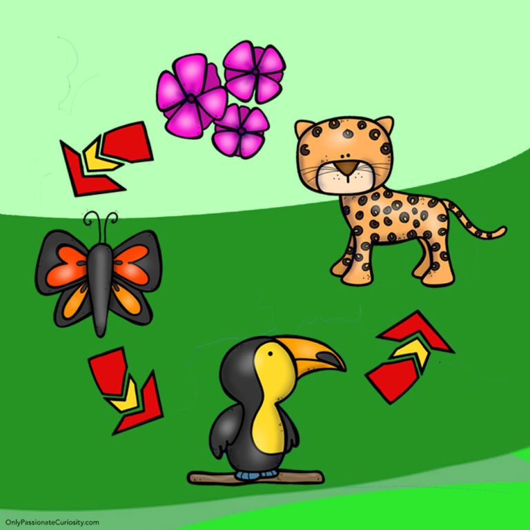 Learn About the Rainforest Food Chain