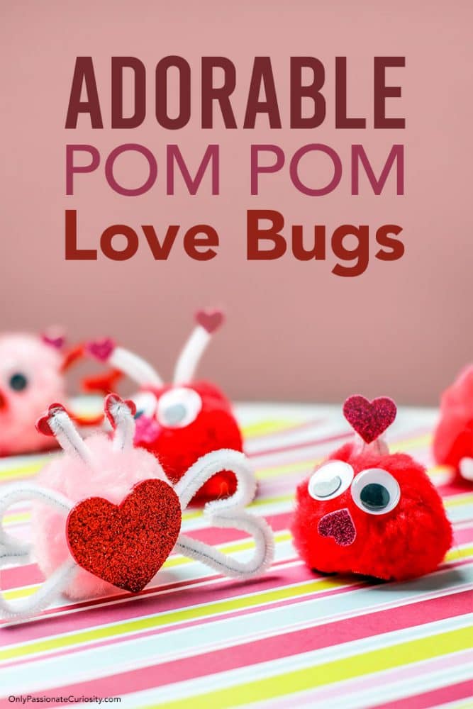 adorable pom pom love bugs for Valentine's Day
