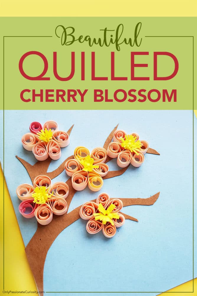 quilled cherry blossom craft