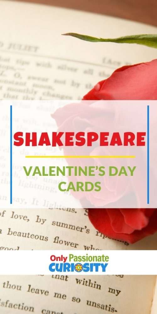 What could be more fun to give to your literature-loving sweetheart than these Shakespeare Valentine's Day cards?! Add a note to make them extra special!
