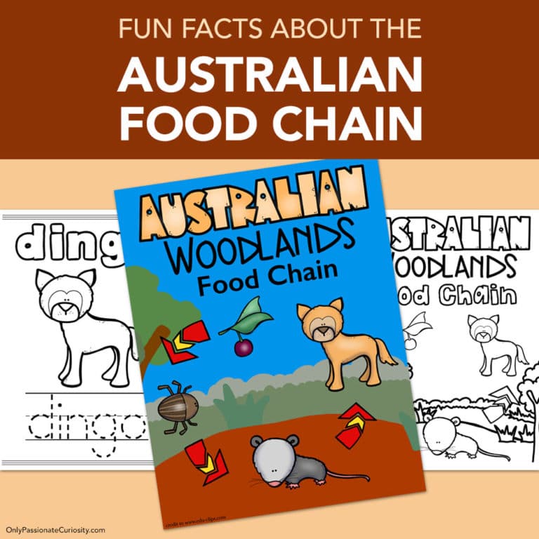 Fun Facts About the Australian Food Chain