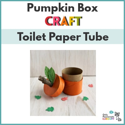 Toilet Paper Tube Pumpkin Box