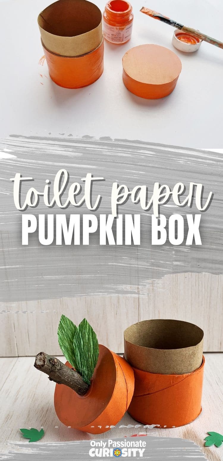 This toilet paper tube pumpkin box is a great way to recycle and make cute fall decorations. Enjoy them as decorations from fall through Thanksgiving! They're easy enough for kids to help make, and you can create them as part of a fall-themed or pumpkin-themed unit study.