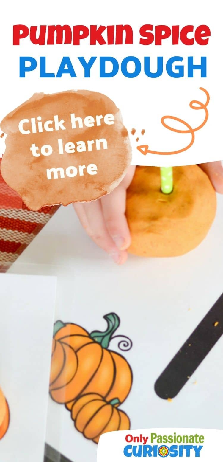 Fall calls for pumpkin spice! With this fun DIY craft and printable playmats, you and your kids can create your own pumpkin spice themed fun and learning!