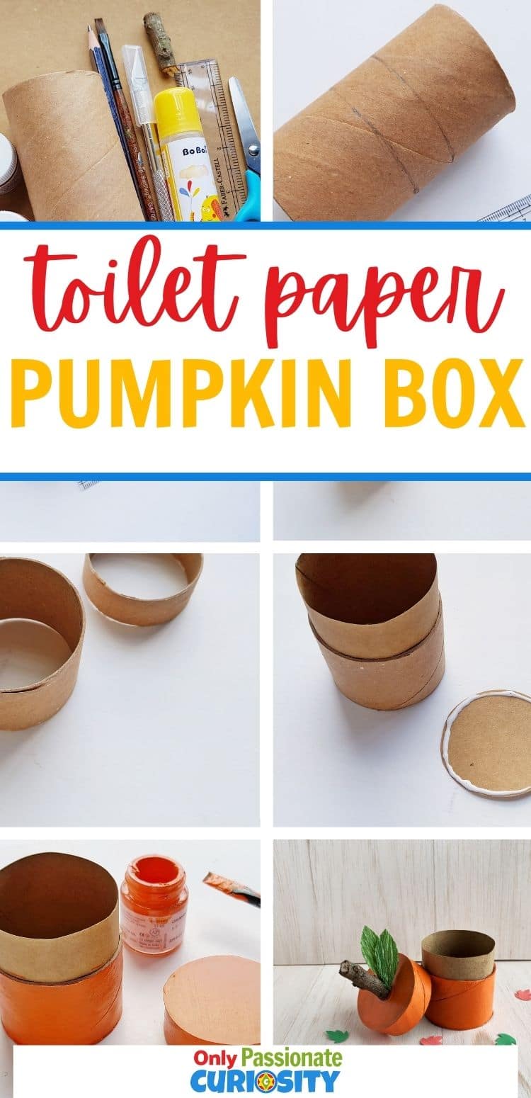 This toilet paper tube pumpkin box is a great way to recycle and make cute fall decorations. Enjoy them as decorations from fall through Thanksgiving! They're easy enough for kids to help make, and you can create them as part of a fall-themed or pumpkin-themed unit study.
