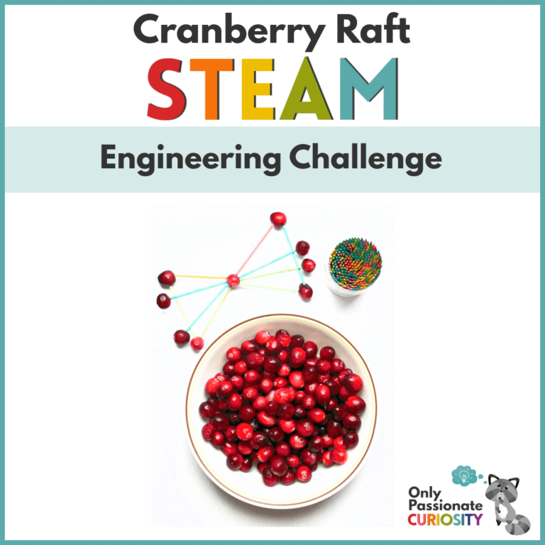 Cranberry Raft STEAM Engineering Challenge