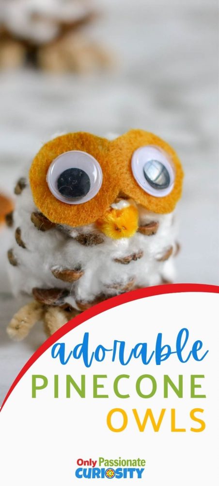 These adorable pinecone owls are super easy to make with your children whether you have young children or older! They make great fall decorations!