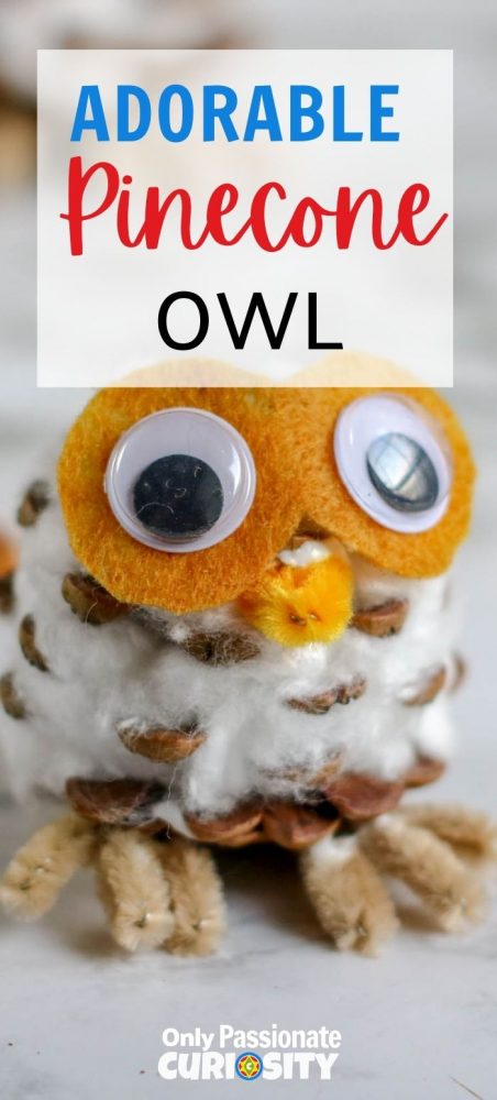 These adorable pinecone owls are super easy to make with your children whether you have young children or older! They make great fall decorations!