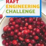 Are you ready to add some STEM to your holidays? This cranberry raft engineering challenge is a great way to do it! And you only need cranberries and a few other simple supplies to make it happen.