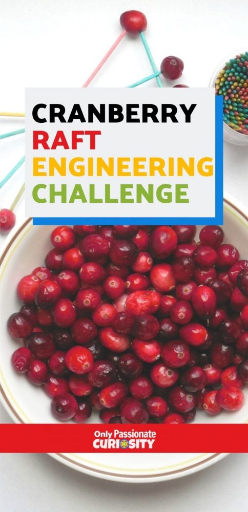 Are you ready to add some STEM to your holidays? This cranberry raft engineering challenge is a great way to do it! And you only need cranberries and a few other simple supplies to make it happen.