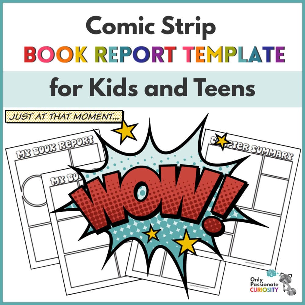 comic strip book report examples