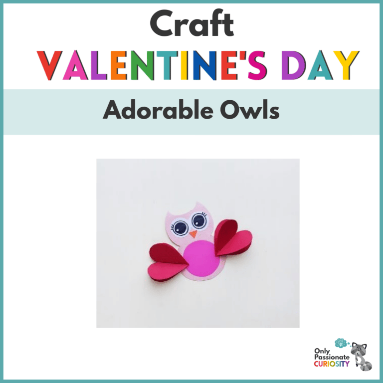 Adorable Valentine’s Day Owl Craft