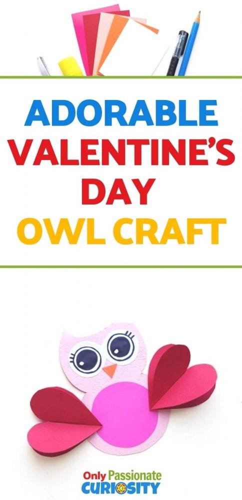 This adorable and simple Valentine's Day Owl is a fun craft to make with your kids and is a great decoration or extra special valentine!