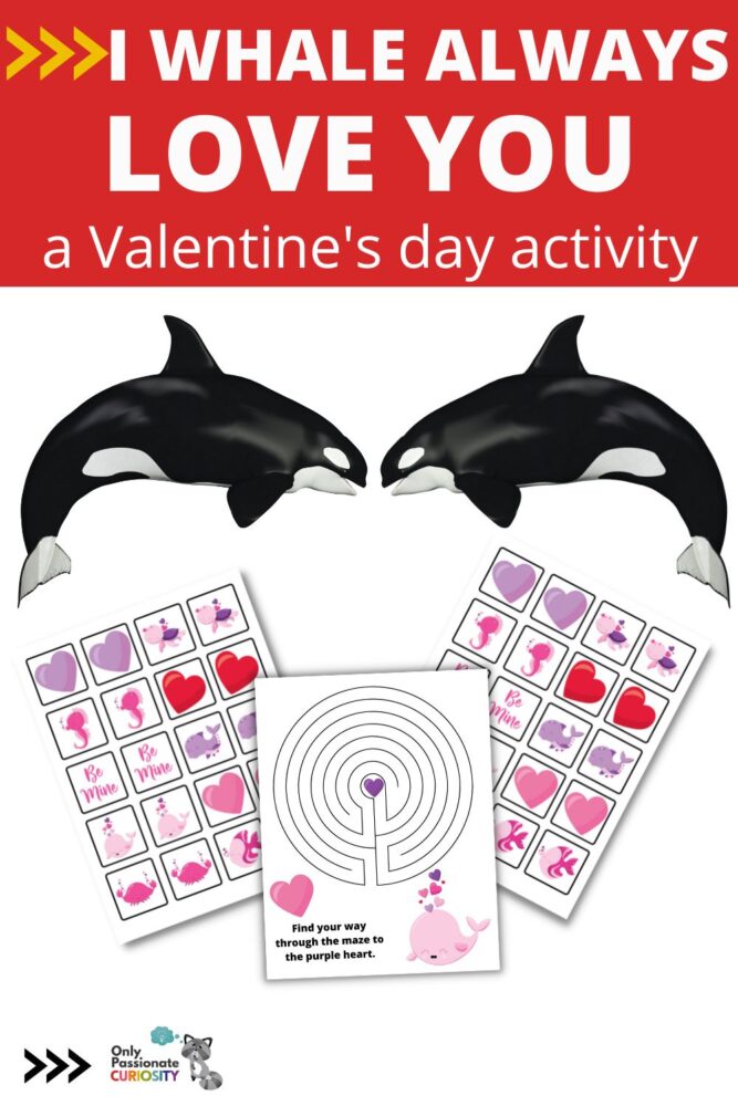This super cute "I Whale Always Love You!" Valentine's Day  activity pack is full of fun, engaging activities to use with your kiddos during the week leading up to Valentine's Day!