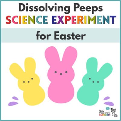 Easter science experiment