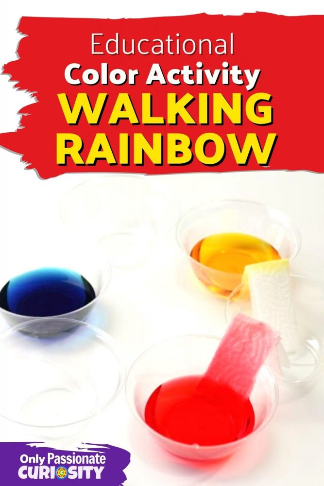This colorful, educational activity is part art, part science, and 100% rainbow-inspired fun. All ages can enjoy this Walking Rainbow Educational Color Activity!