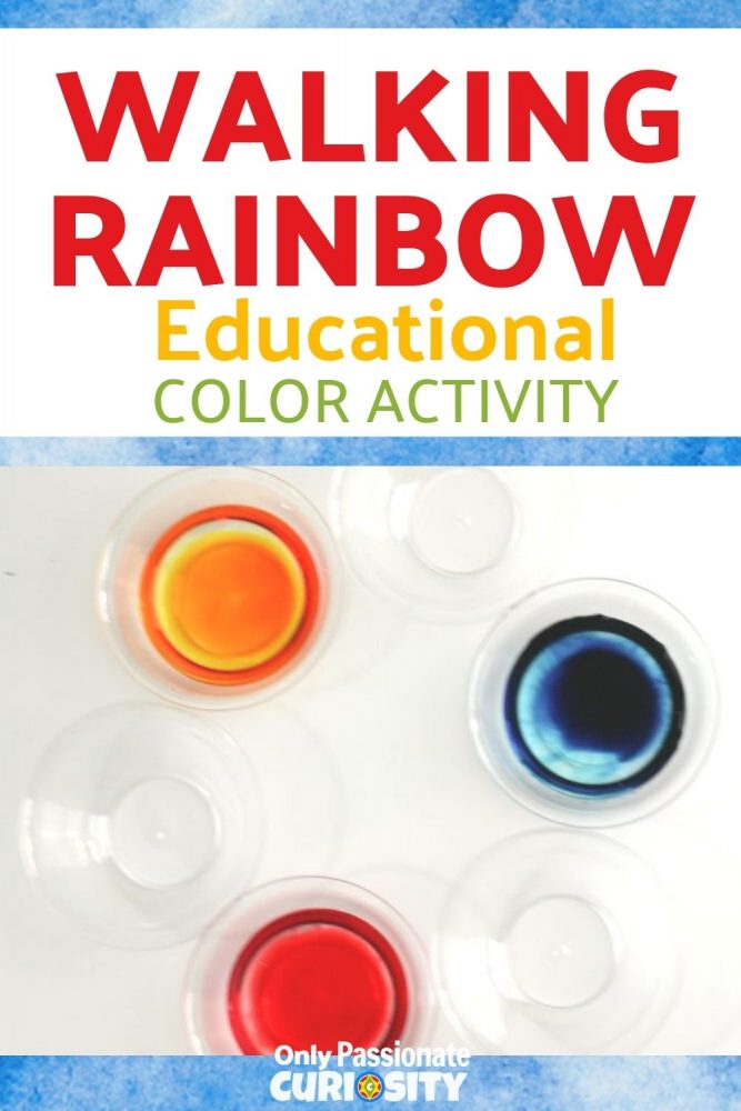This colorful, educational activity is part art, part science, and 100% rainbow-inspired fun. All ages can enjoy this Walking Rainbow Educational Color Activity!