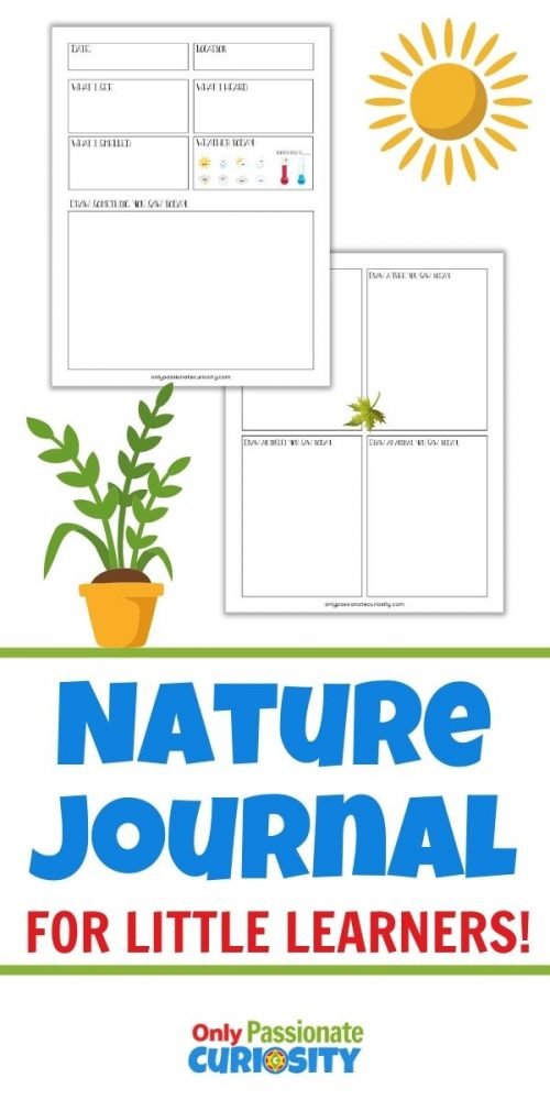 Use this printable nature journal to help your little learners explore the outdoors and make observations this spring and summer!