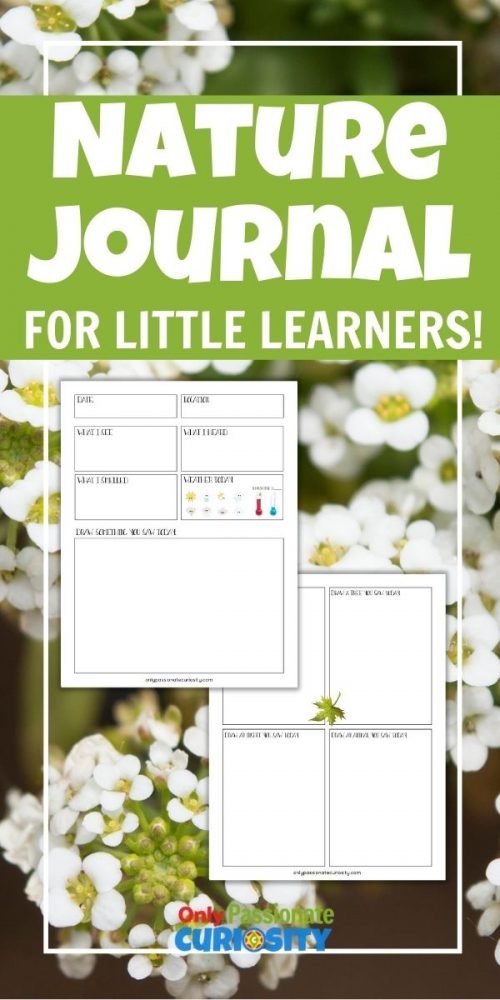Use this printable nature journal to help your little learners explore the outdoors and make observations this spring and summer!